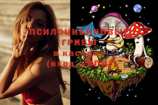 трава Киренск