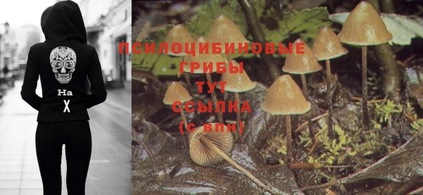 амфетамин Киреевск