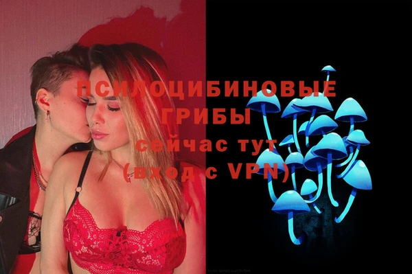 мяу мяу кристалл Корсаков