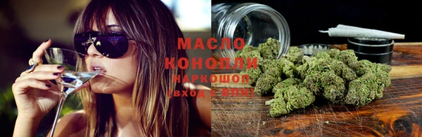 мяу мяу кристалл Корсаков